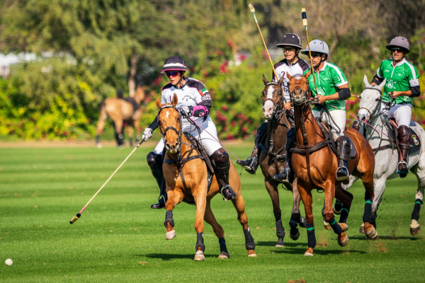 Day four of Silver Cup 2025 a win for Dubai Wolves and UAE Polo