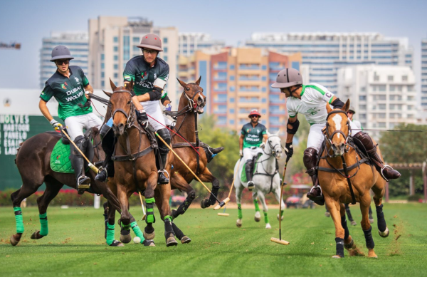 Day Eight: Dubai Wolves and UAE Polo Claim Victory in Today’s Matches!